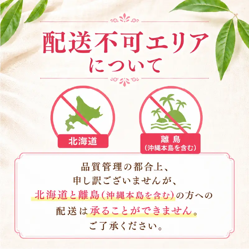 【 先行予約 】数量限定 特選 桃 3kg 桃 桃 桃 桃