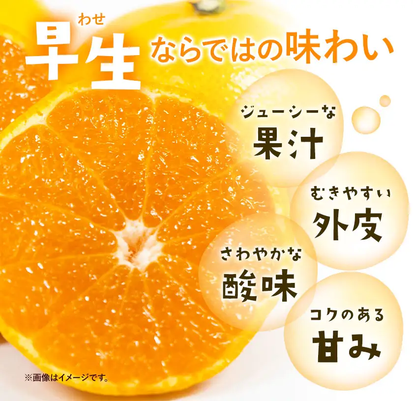 ゆら早生みかん 厳選 Sサイズ 5kg GOGO農園 みかん