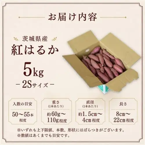 産地直送!生さつまいも「熟成紅はるか」調理しやすい小さめサイズ5kg【1748778】