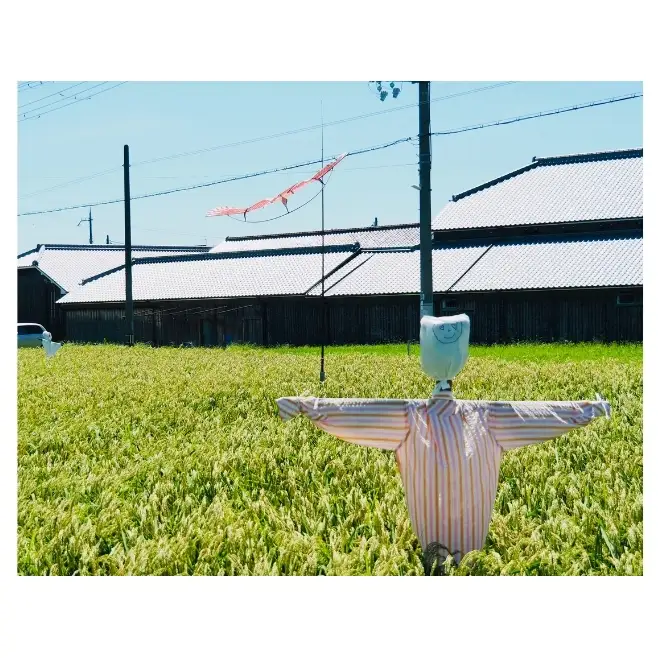 華やかな香りが広がる一杯 茨木酒造「 来楽 花乃蔵 アベリア 」 720ml  × 12本　酒 お酒 日本酒 冷酒 アベリア酵母 兵庫県 明石市