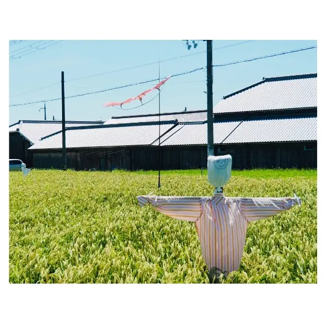 銘酒プレミアムセット 茨木酒造（720ml × 各1本 計2本）来楽 すゑひろがり・来楽  純米大吟醸35　酒 お酒 日本酒 飲み比べ セット ギフト プレゼント 兵庫県 明石市