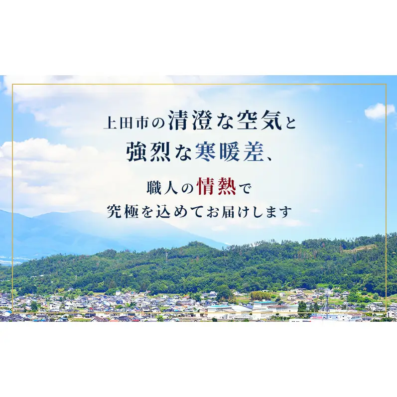 マスカサーティーン 信州上田産 約1kg 2～3房 ぶどう ブドウ 1kg 種なし 皮ごと 果物 くだもの フルーツ デザート 旬の果物 旬のフルーツ 長野県上田市