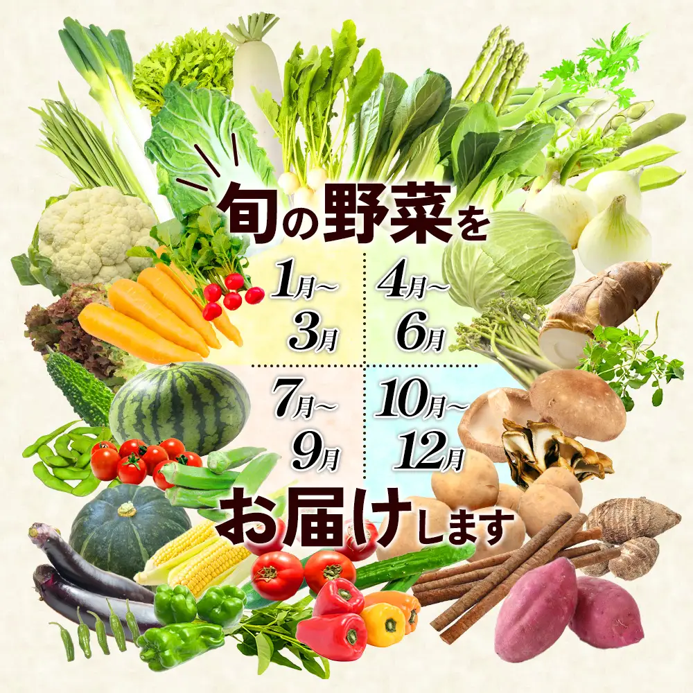 特別栽培季節のお野菜セット 8品 野菜 無農薬 有機栽培 新鮮 やさい 旬 詰合せ 国産 宮崎県 九州 送料無料