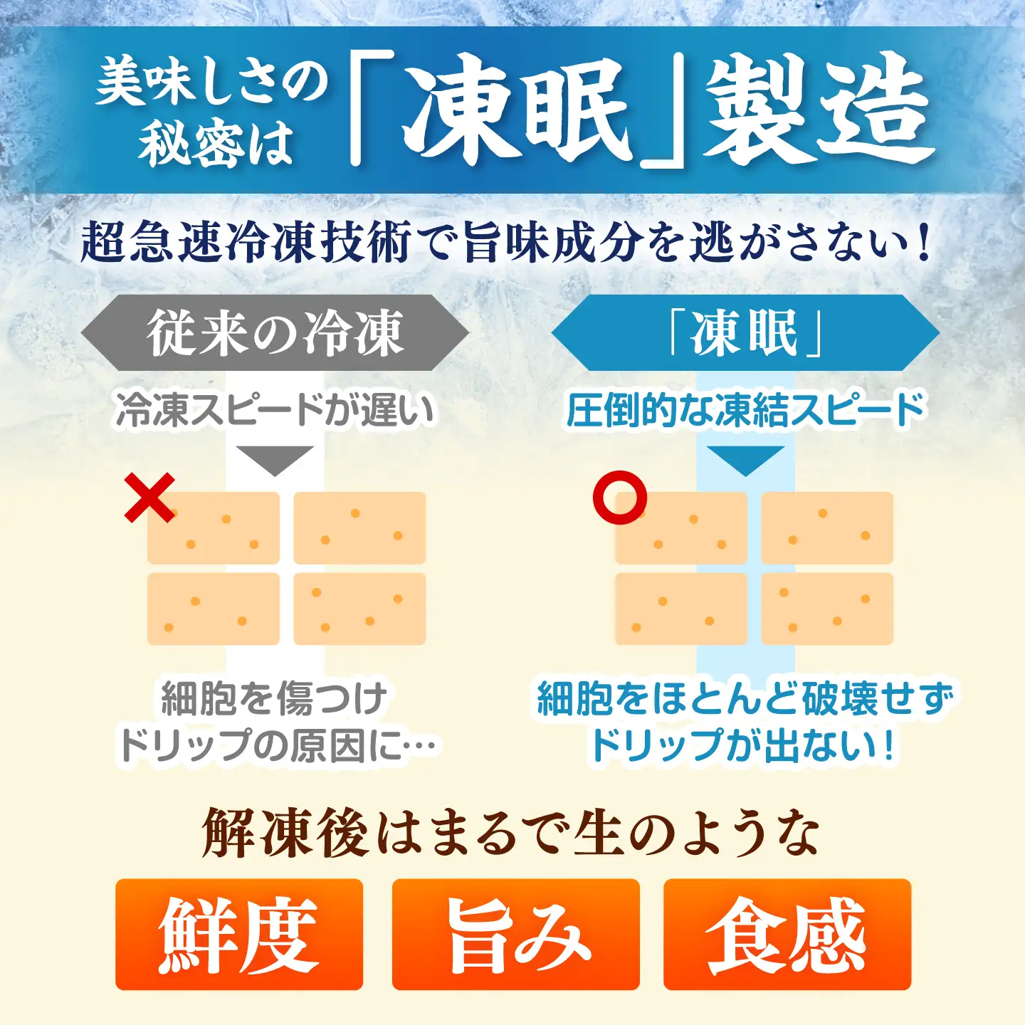 はかた地どり 親子丼セット 10食入 桂川町/株式会社 福栄組合[ADCH002]