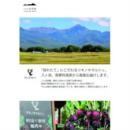 [八ヶ岳泉野]ツキノキマルシェのハチミツセット「アカシアと百花」八ヶ岳西麓の希少品【1745834】