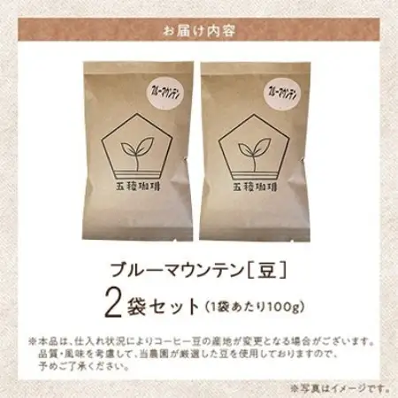 五稜珈琲 ブルーマウンテン100g×2袋【豆タイプ】【1742471】