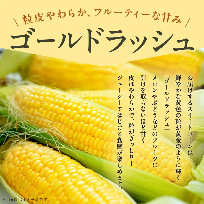 【大坪農園】夏の恵み　北海道東川町産　スイートコーン10本入り