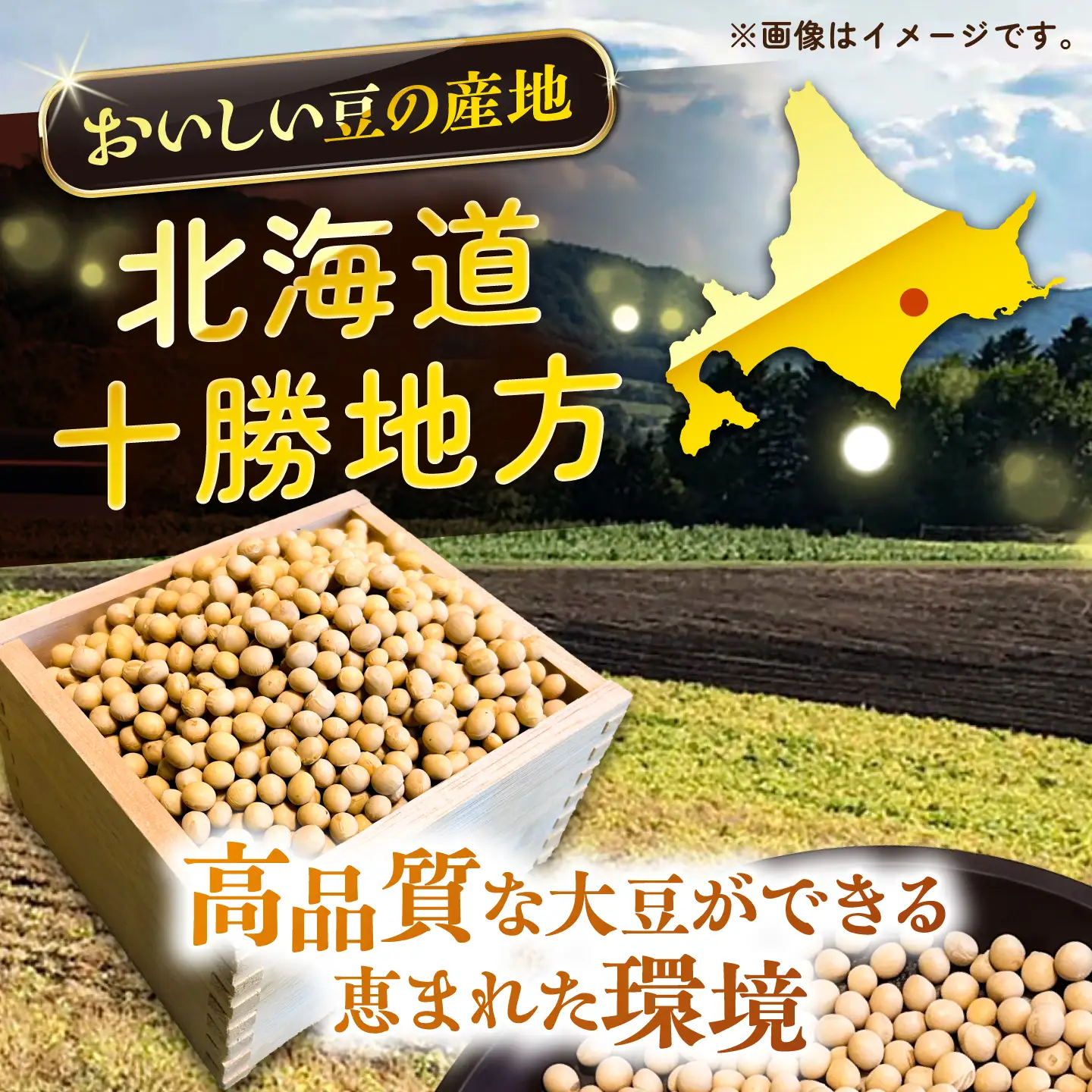 北海道 十勝 大豆 2kg [BEAA026] 大豆