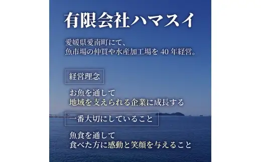 かつお レア ステーキ 1.7kg カツオ 冷凍 鰹 高知 にも負けない ハマスイ 愛媛県 愛南町