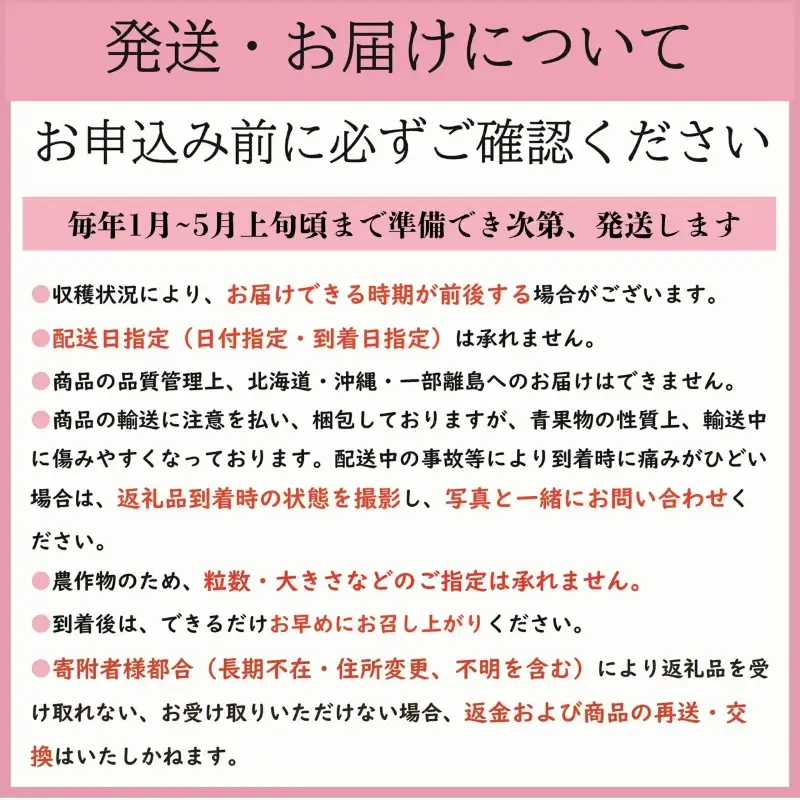 とちおとめ 約3kg いちご 【 とちおとめ 】 先行予約