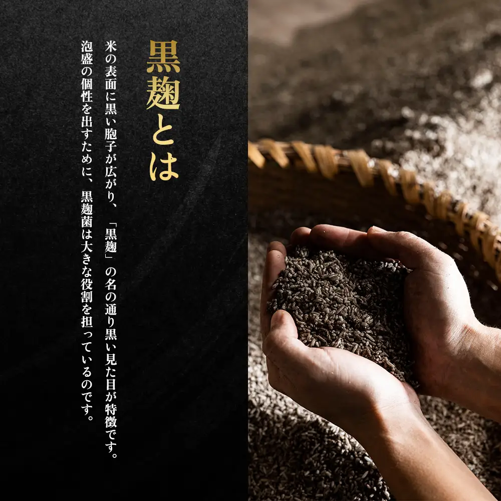 咲元酒造 復刻ラベル25度（720ml×12本）セット
