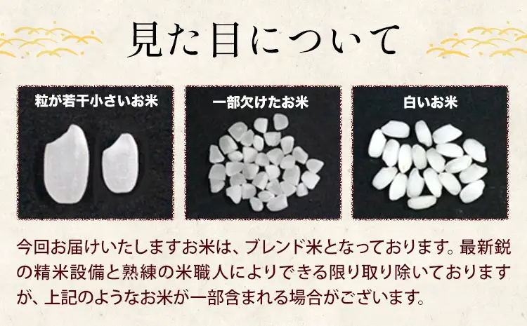 【12ヶ月定期便】熊本県産 肥後清流米 無洗米 2kg《お申込み翌月から出荷》ふるさとのうぜい 米 コメ