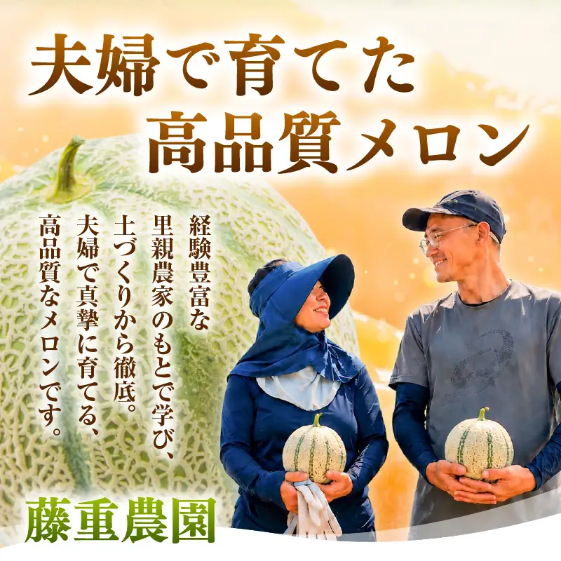 【先行予約】藤重農園自慢のマルセイユメロン 2～3玉（合計約3kg）※2027年6月中旬以降順次発送 [aw083-a005]