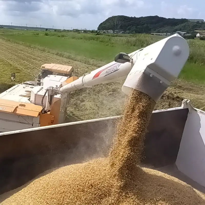 新米 こしひかり 玄米 5kg 新米 【令和8年産 先行予約限定】