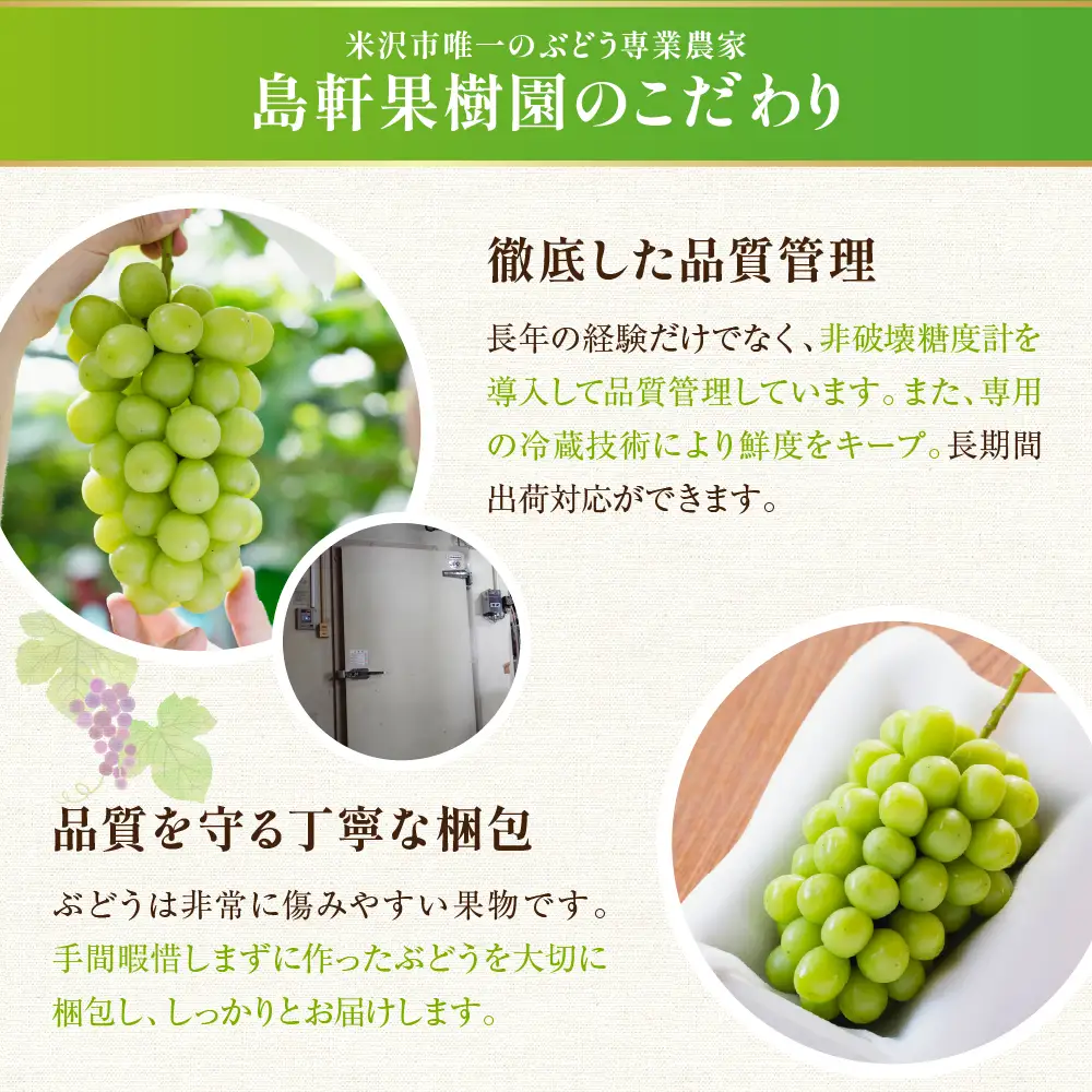 【先行予約】 令和8年産 訳あり シャインマスカット 500g 2026年9月上旬頃～お届け予定