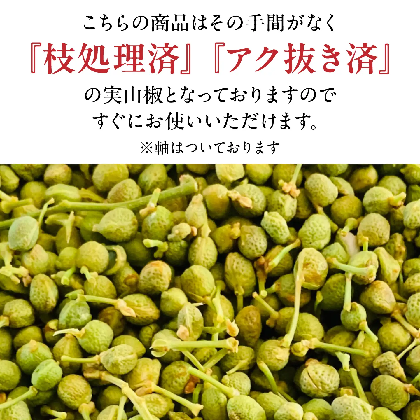 【佃煮の伊吹】青実山椒 500g [AQCA013]実山椒