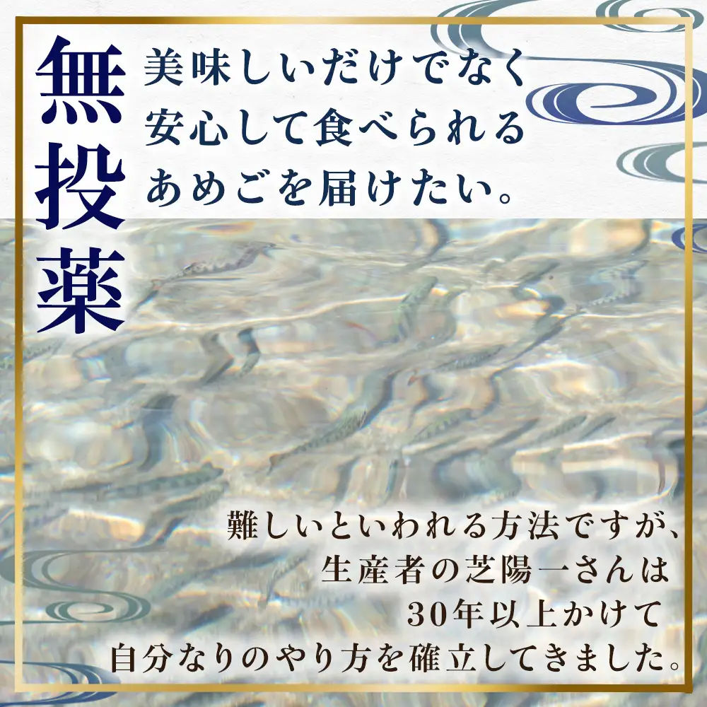 【無投薬 内臓処理済み】【希少稚魚】あめご（稚魚）100匹前後（約1kg） ／Eay-09 アメゴ 川魚