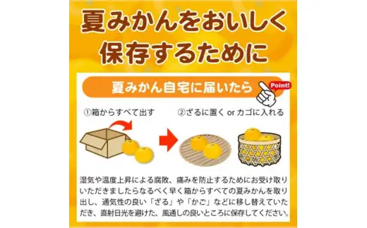 夏 みかん 7.2kg / みかん 甘い 柑橘  果物 和歌山 ※2027年4月中旬頃〜4月下旬頃発送予定 【uot775】