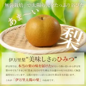 178-B1069 伊万里梨自宅用「豊水」（2.5kg）