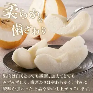 178-B159 伊万里梨「幸水」化粧箱入（2.5kg）