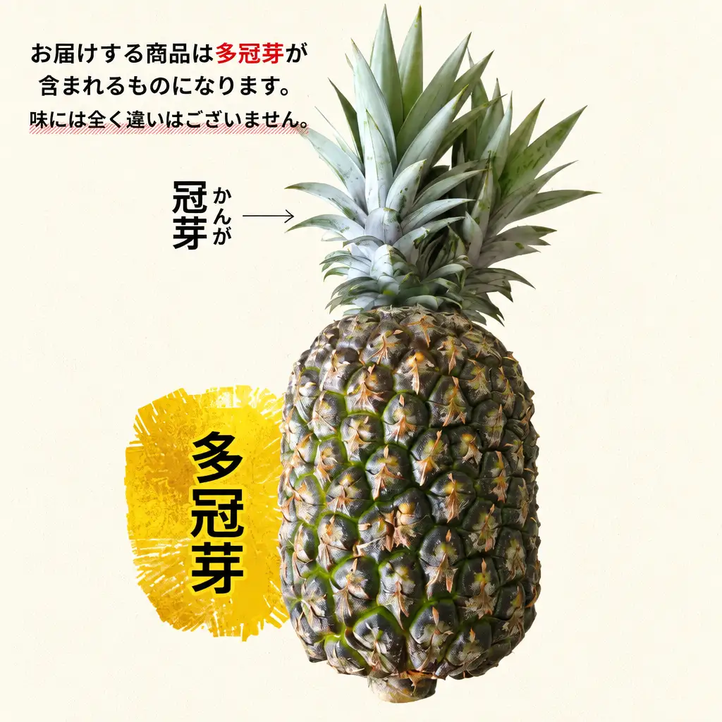 パイナップル ゴールドバレル 1玉 約1.7kg あいこ農園 