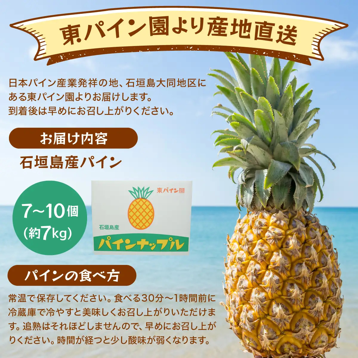 石垣島パイン(ハワイ種またはピーチパイン) 7~10個(約7kg) 【2026年6月中旬頃より順次発送】