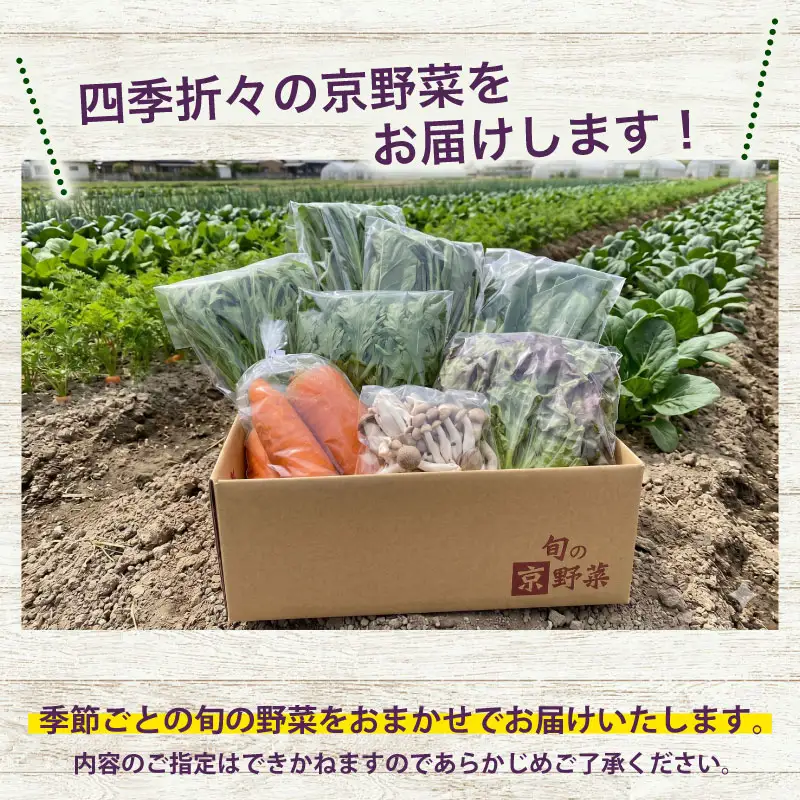京野菜セット 7~10種 スペシャルコース 野菜セット 野菜詰め合わせ 京野菜