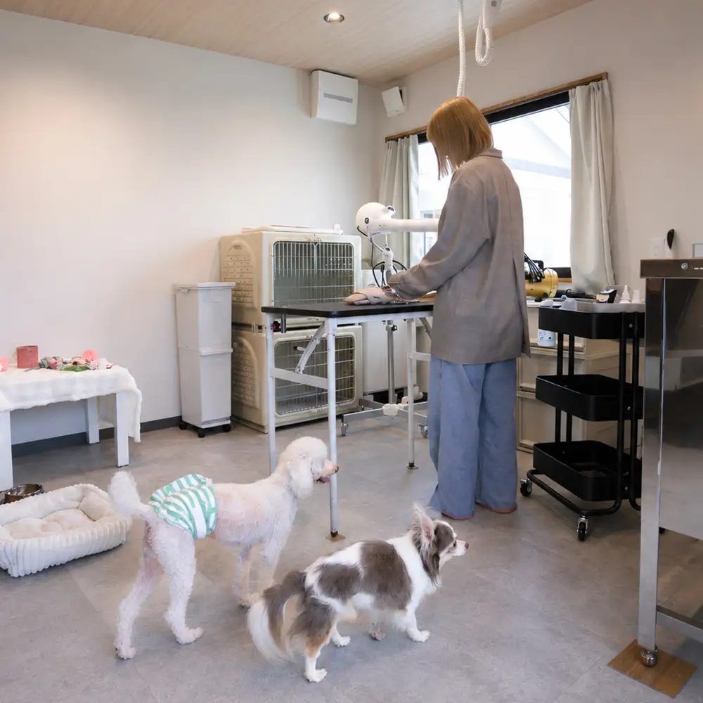 ドッグサロン 利用補助券 15,000円分 Dogsalon Linoa li-hkxxx15000