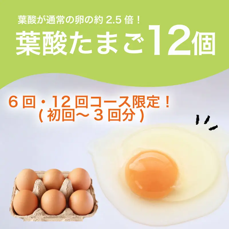 【定期便6回】京野菜セット 7~10種  定期便 スペシャルコース 野菜定期便
