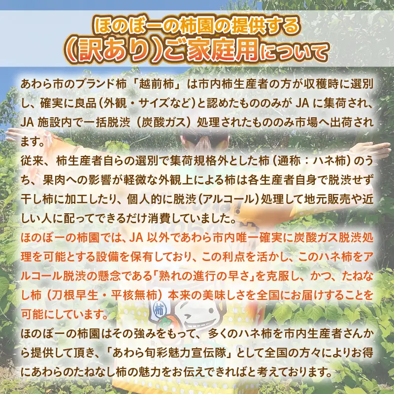 【先行予約】【2026年11月中旬以降発送予定】厳選！種なし！スッキリ甘みの越前柿 18個入  ／ 果物 フルーツ かき 種なし  産地直送 期間限定 ※2026年11月中旬以降発送予定 [aw031-a003_11]