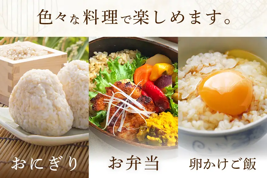 【令和8年産】獅子米　いのちの壱（玄米）10kg　B02-097