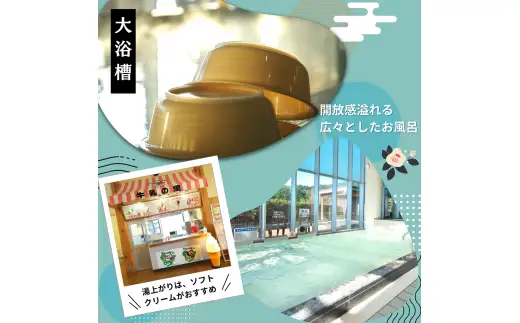 日帰り天然温泉 「 本宮の湯 」 入浴券11枚セット