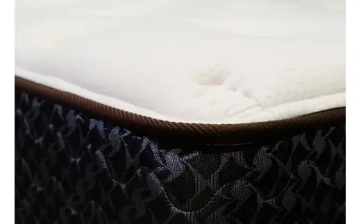 【 Sealy 】 スポーツ パワー マッスル マットレス （ セミダブル ）