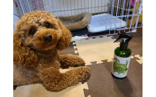 三河産天然木の消臭剤 「 消臭木 」 犬消臭セット 犬 ペット