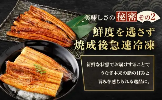 【7月13日までの入金確認で土用の丑の日までにお届け】めぐみうなぎ 蒲焼き 3尾 セット うなぎ 鰻 ウナギ 魚類 うな重 うな丼 晩ごはん 惣菜 おかず 贅沢 冷凍 国産 大阪府産 養殖 無投薬 