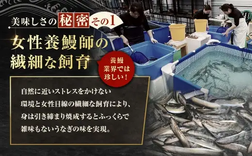 【7月13日までの入金確認で土用の丑の日までにお届け】めぐみうなぎ 蒲焼き 9尾 セット うなぎ 鰻 ウナギ 魚類うな重 うな丼 晩ごはん 惣菜 おかず 贅沢 冷凍 国産 大阪府産 養殖 無投薬