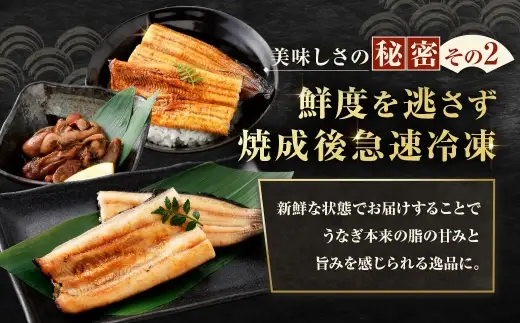 【7月13日までの入金確認で土用の丑の日までにお届け】めぐみうなぎ 堪能うなぎづくし セット 【 蒲焼 × 4 ／ 白焼き × 2 ／ 肝 × 2 】 うなぎ 鰻 ウナギ 魚類 うな重 うな丼 晩ごはん 惣菜 おかず 贅沢 冷凍 国産 大阪府産 養殖 無投薬 