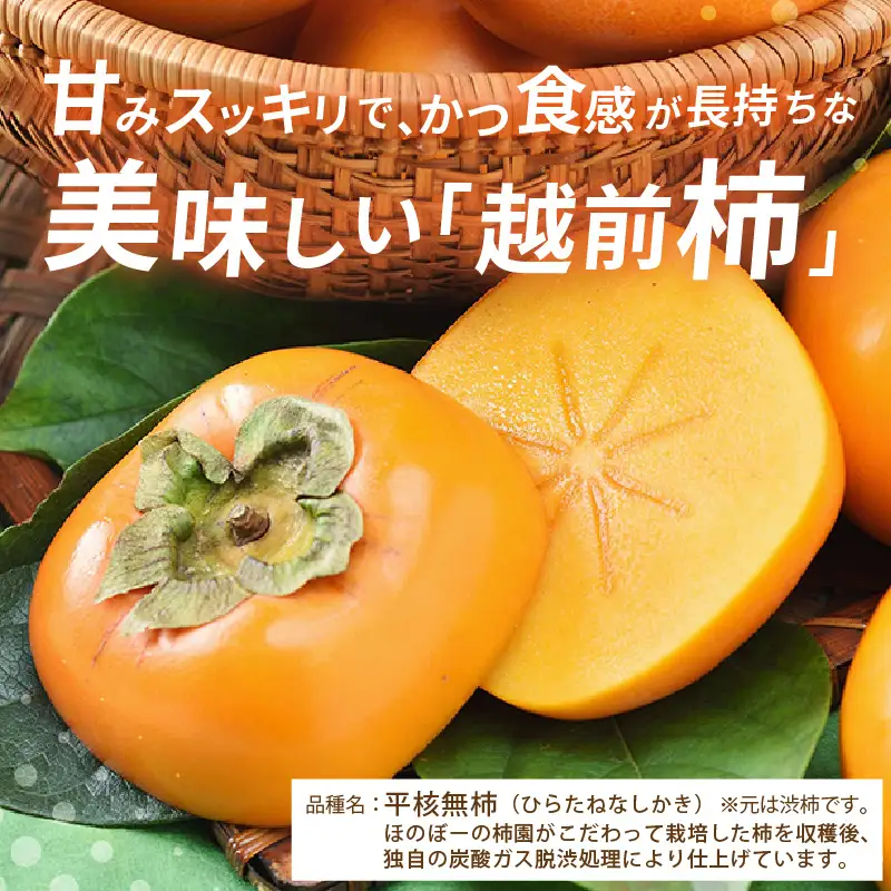 【先行予約】【2026年11月中旬以降発送予定】秋の味覚を贈り物に！厳選「越前柿」大玉 9個（ご贈答用）／ 果物 フルーツ 産地直送 期間限定 ※2026年11月中旬以降発送予定 [aw031-a005_11]