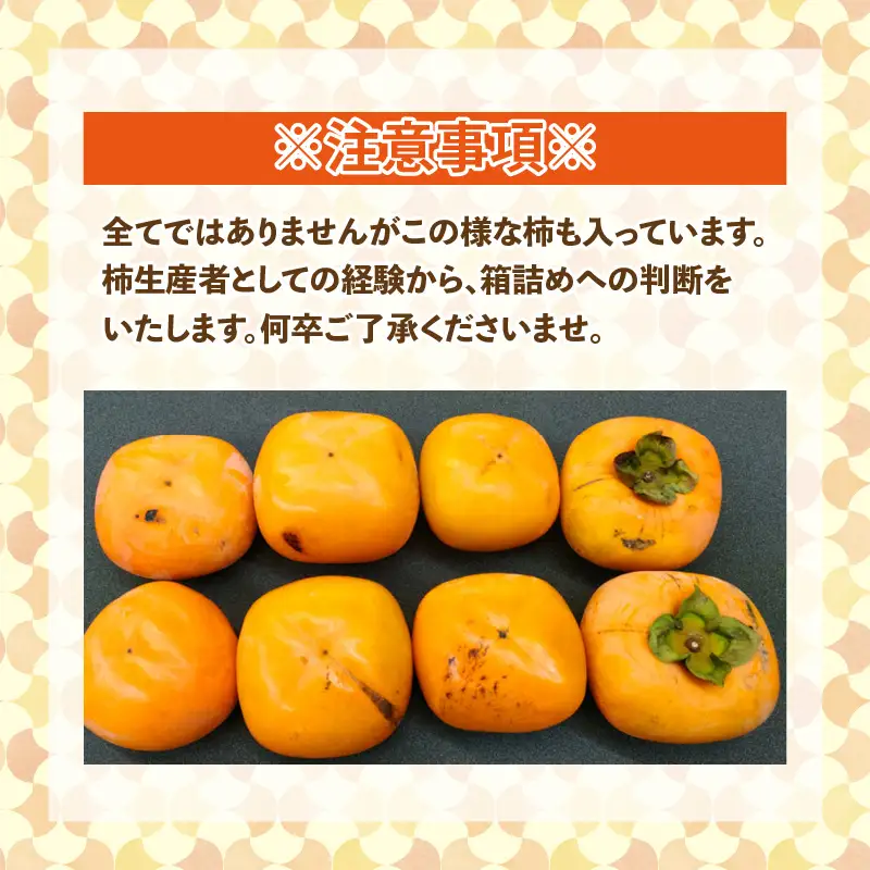 【先行予約】【訳あり】【2026年10月下旬～11月中旬に発送予定】甘みすっきり！あわらのたねなし柿 約3.5kg（18個入）（ご家庭用）／ 果物 フルーツ 産地直送 期間限定 ※2026年10月下旬～11月中旬に発送予定 [aw031-a006_10]