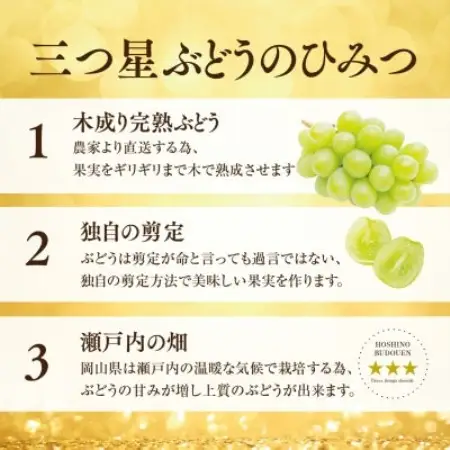 星乃シャインマスカット 650g以上 1房 数量限定 岡山県産【配送不可地域：離島・北海道・沖縄県】【1746014】