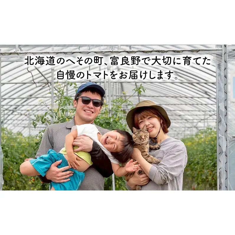 ミニトマト キャロル10 訳あり 富良野産 ミニトマト【約3kg】