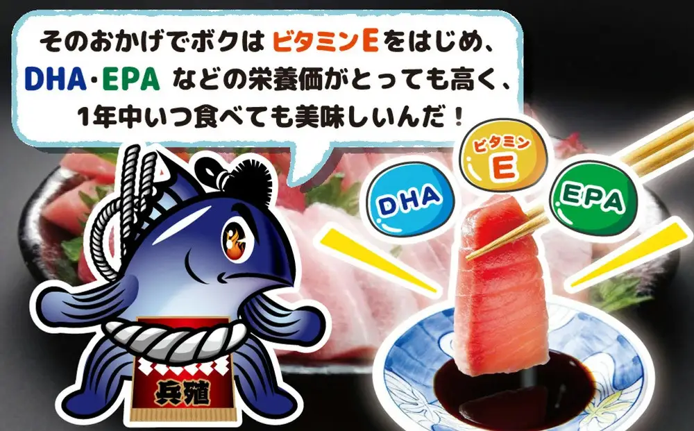 豊後マグロ ヨコヅーナ 1本分セット | マグロ 津久見市