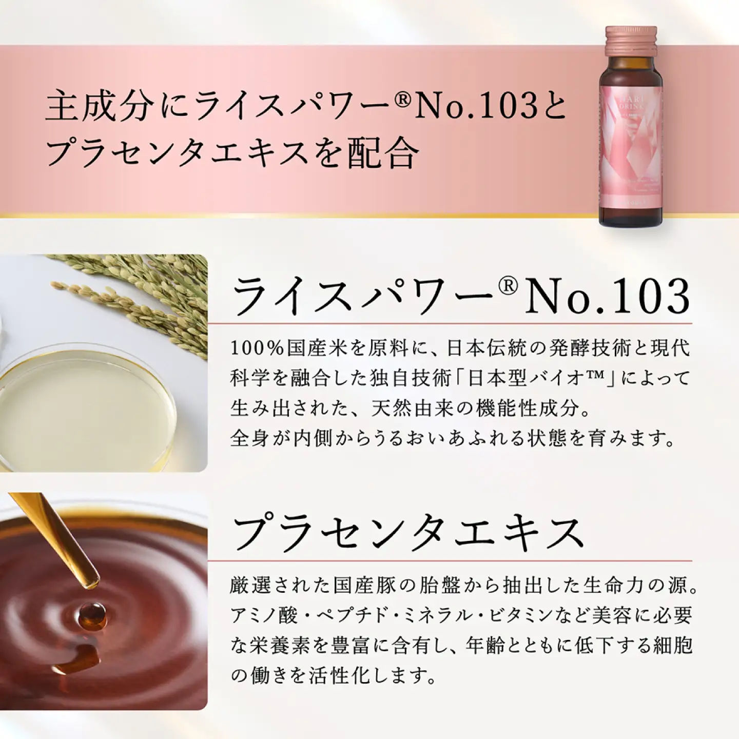 美容ドリンク【全6回定期便】HARI DRINK premium 10本 [BAHL007] 美容ドリンク