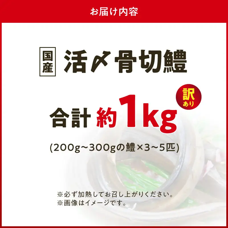 【訳アリ・業務用】活〆 加熱用 国産 骨切鱧 約1kg （200g〜300g程の大きさの鱧を3〜5匹）_SD1009