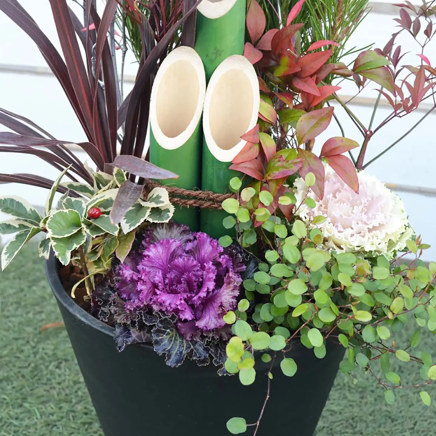 【先行予約】お正月寄せ植え 大村市 アトリウム琴花園/縁起物 年末年始 お正月飾り 門松 お正月 記念 お祝い インテリア[ACZZ013]