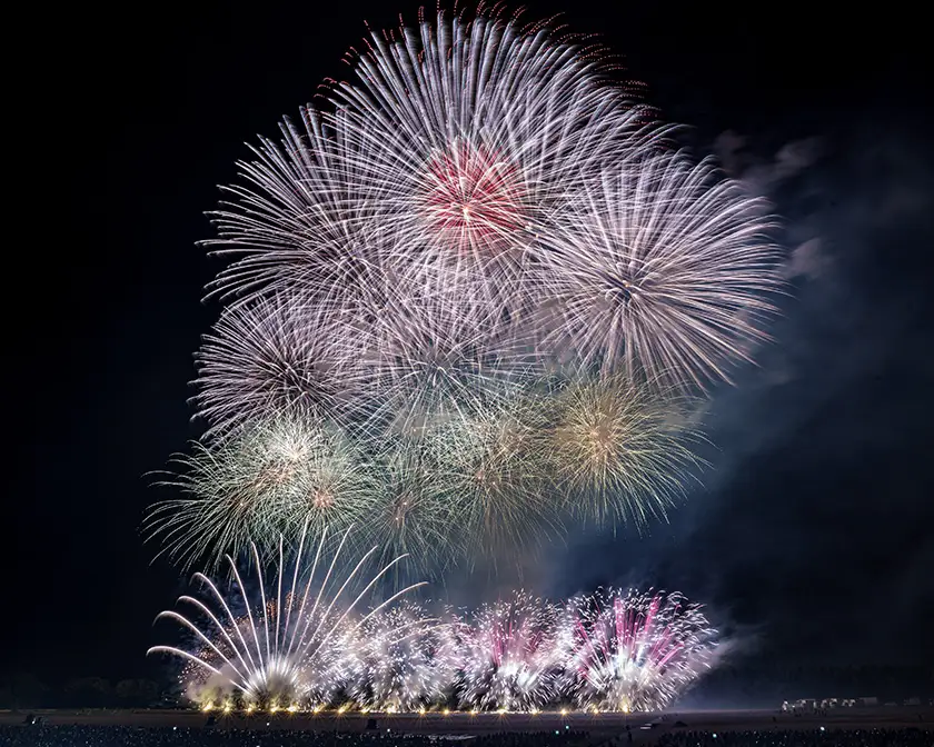 にし阿波の花火 10人マスシート 花火