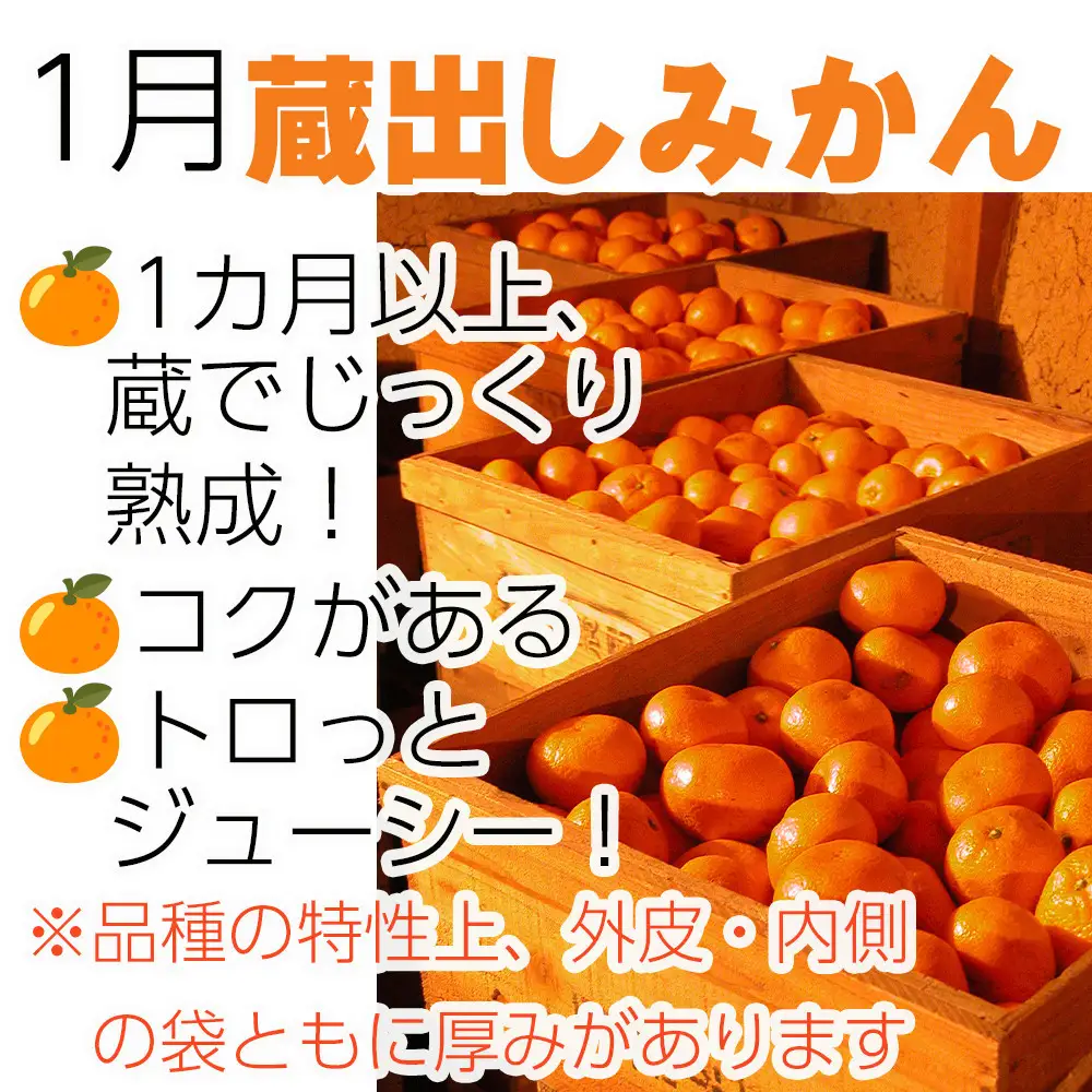 ［定期便 全8回］和歌山県鈴木農園産 旬のフルーツ定期便