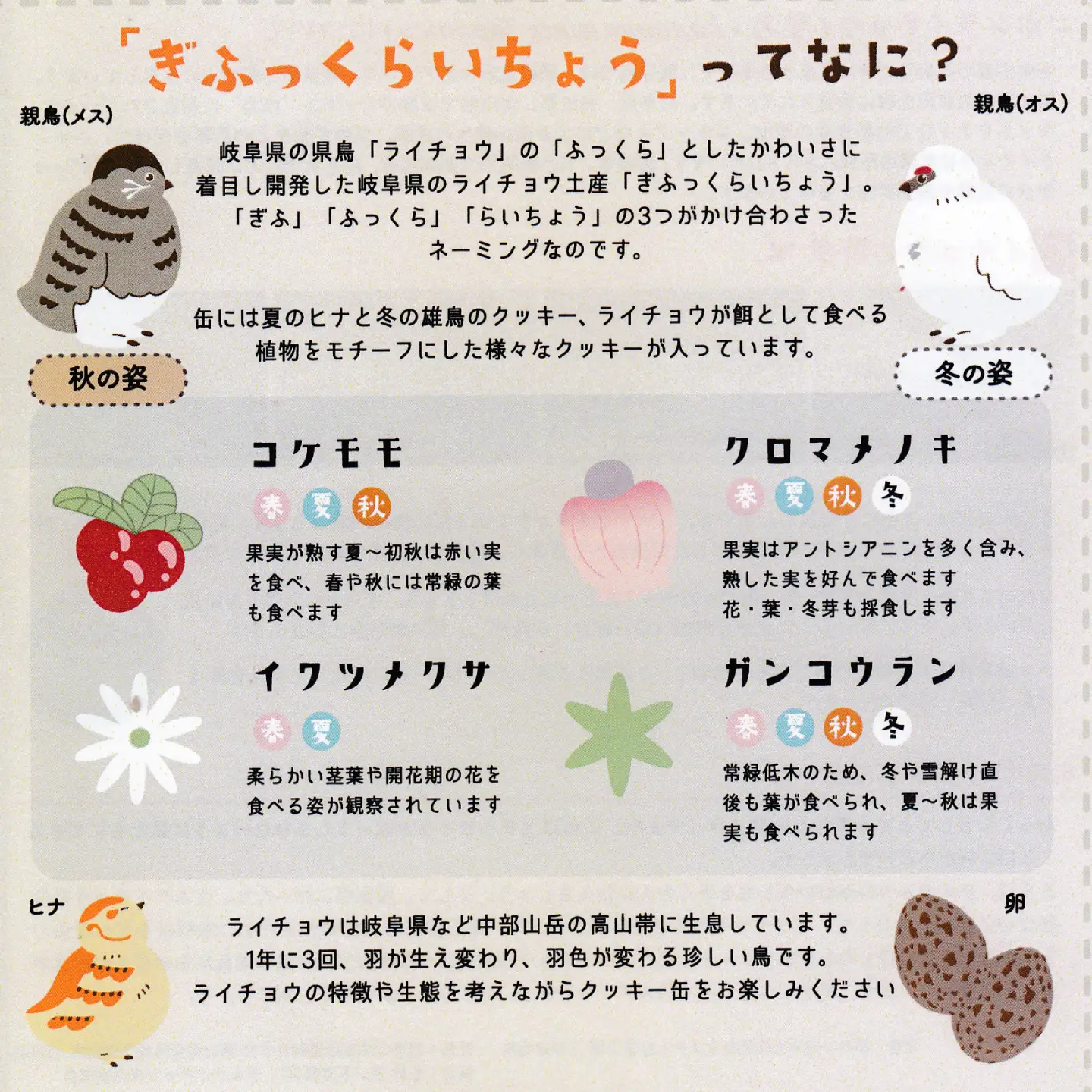 ぎふっくらいちょう・クッキー缶 お菓子 クッキー 焼菓子 岐阜市 / 伸光製菓[ANAL008]