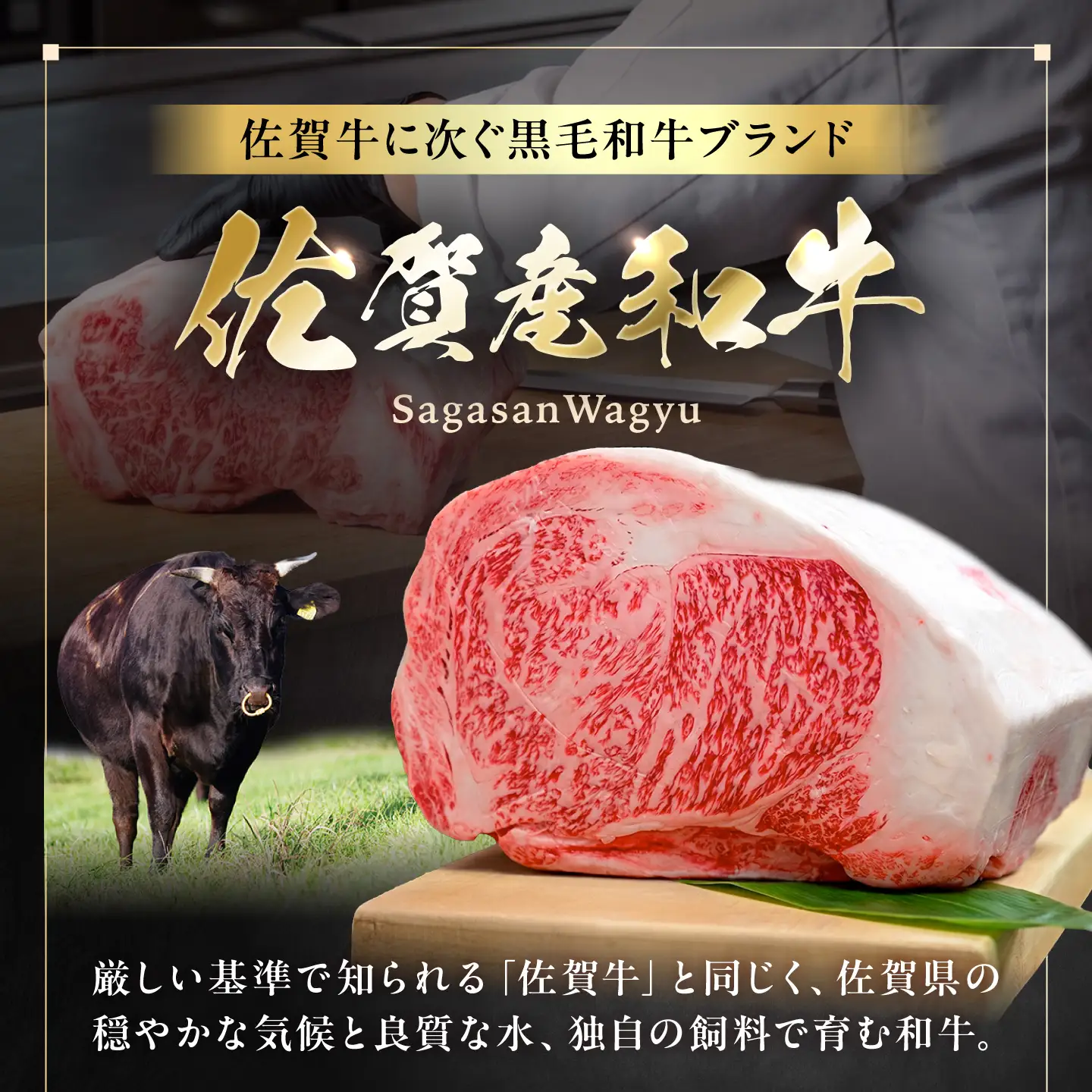 佐賀産和牛 切り落とし 600g(300g×2P) 吉野ヶ里町/石丸食肉産業[FBX059]