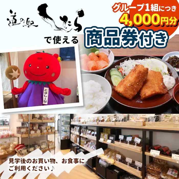 今だけの体験！７月２３日（木）設楽ダム工事現場見学ツアー入門編 1組4名まで ダム 商品券 1日 限定 イベント 体験チケット 見学 巨大ダム 道の駅したら 愛知県 設楽町